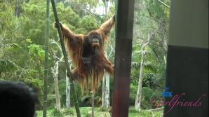 Scarlet Skies La Jolla Part 3