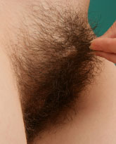 free hairy porn